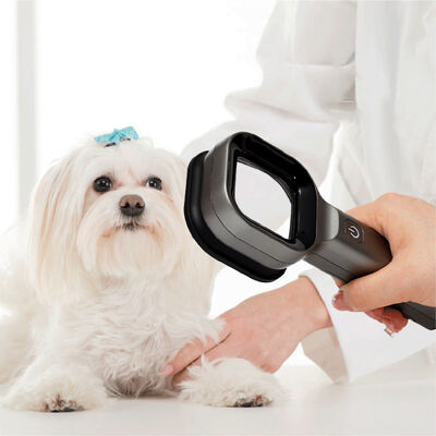 Saferlife VW1 Veterinary Wood's Lamp Portable UV Detector With 2X Magnifying Glass For Pet Skin Inspection