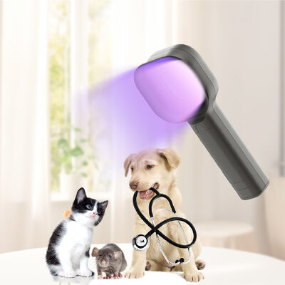 Saferlife VW1 Veterinary Wood's Lamp Portable UV Detector With 2X Magnifying Glass For Pet Skin Inspection