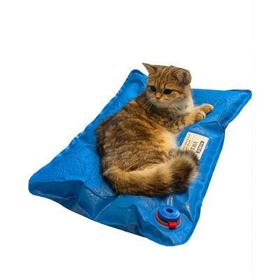 Saferlife VM1 Veterinary Vacuum Positioning Mat For Pet Surgery
